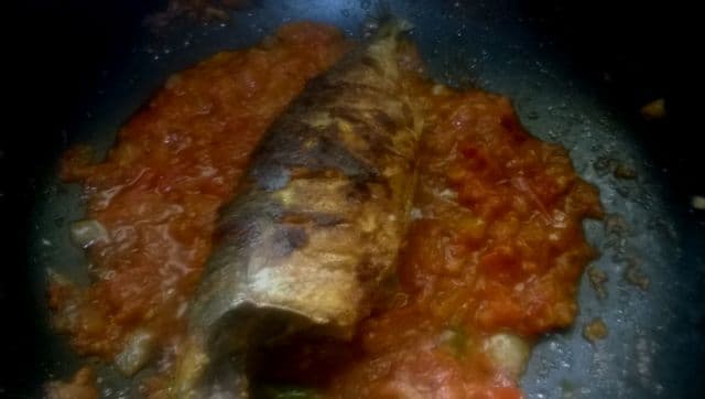 fish10