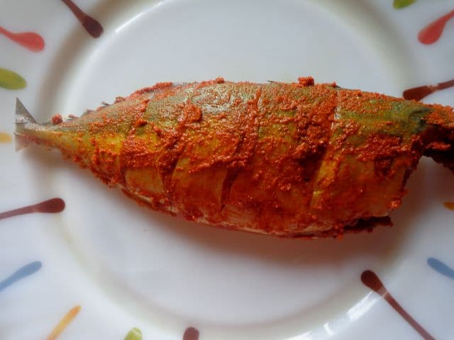 fish13