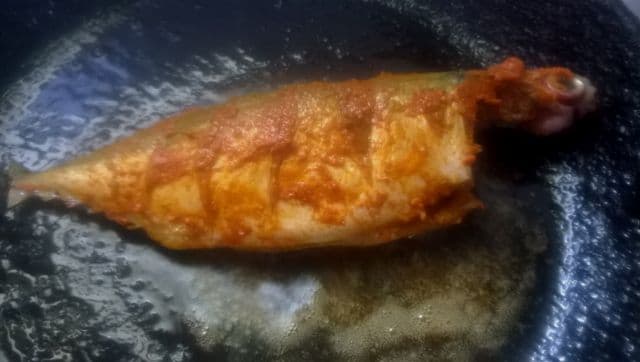 fish8