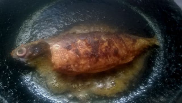 fish9