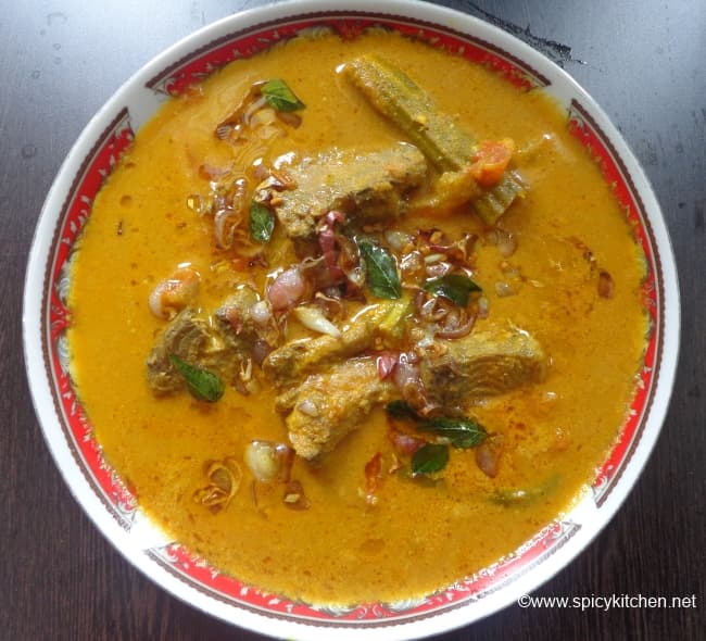 tuna curry