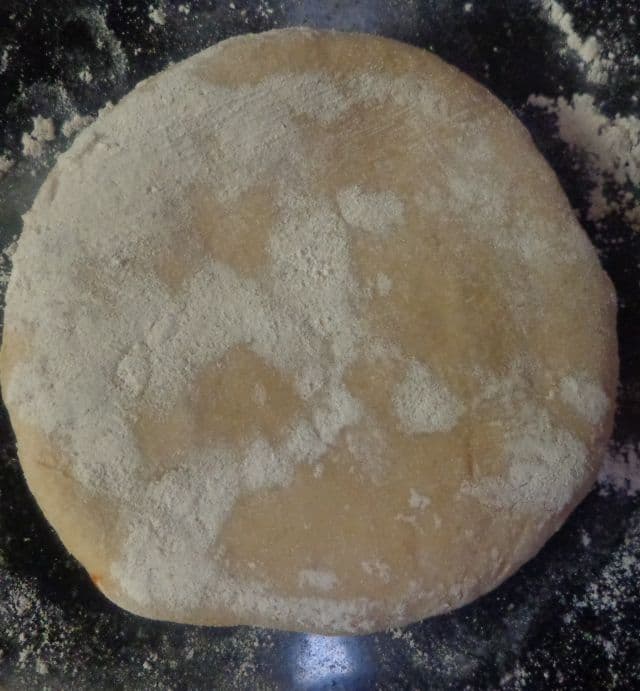 soyaparatha13