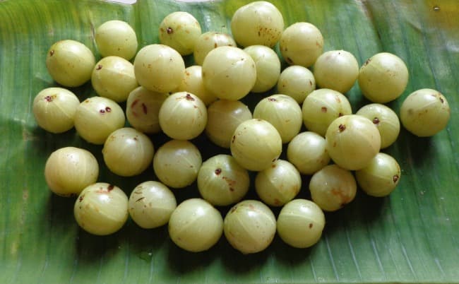 health benefits of gooseberry