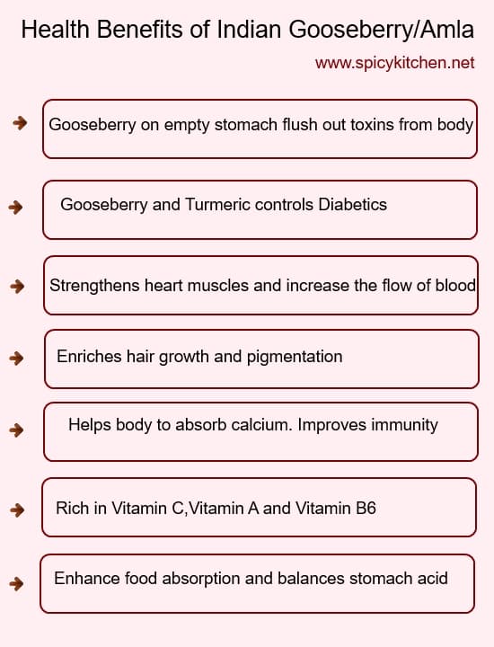 indian gooseberry health benefits